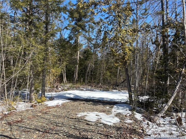 Property Photo: Lot Route 550 NB E7M 5M2