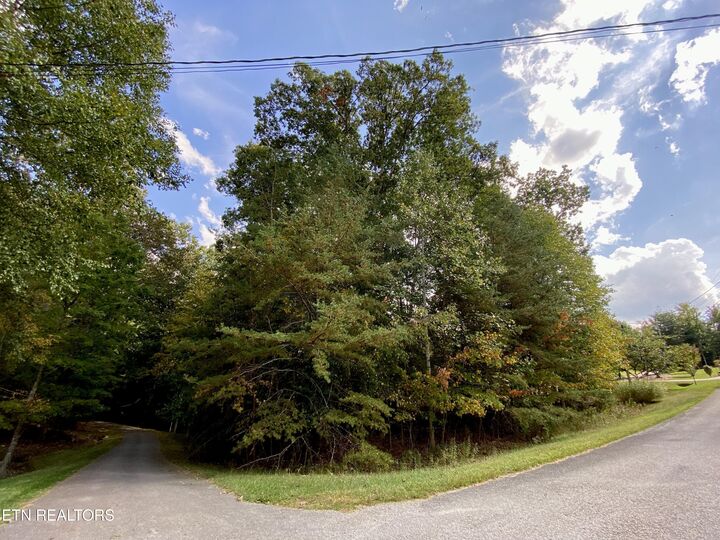 Property Photo:  92 Hanning Drive  TN 38558 