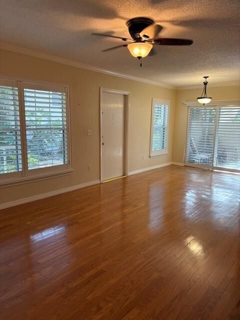 Property Photo: 6314 Misty Terrace 6314 FL 33617