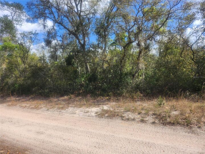 Property Photo:  Tbd NE 236 Lane  FL 32182 