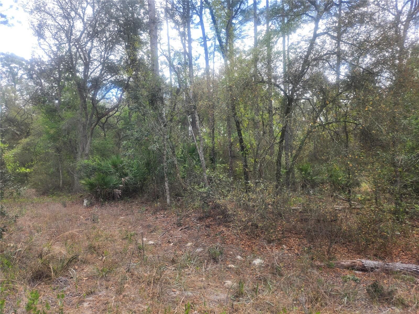 Property Photo:  7446 SW 151st Place  FL 34432 