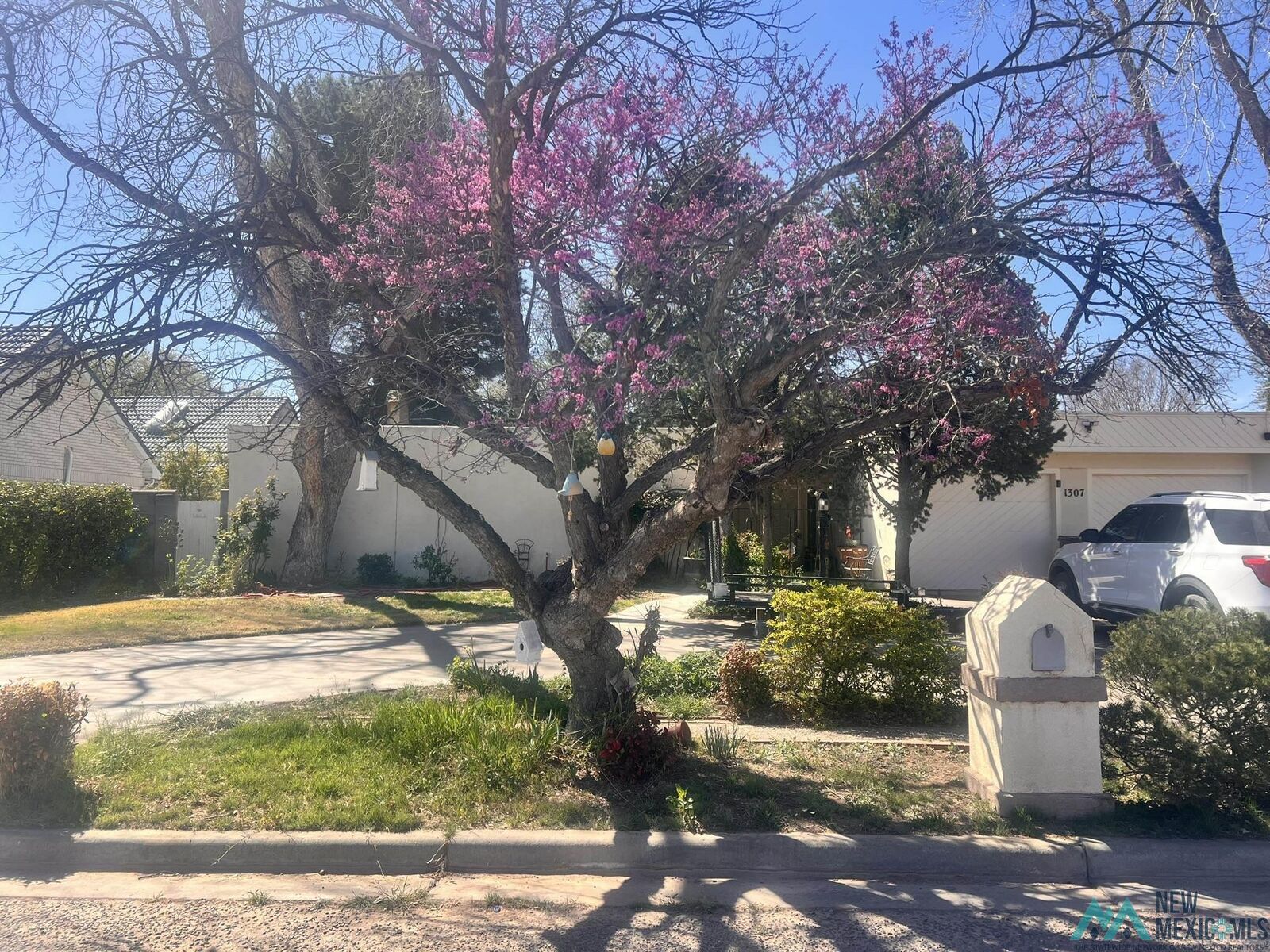 Property Photo:  1307 Lera Circle  NM 88220 