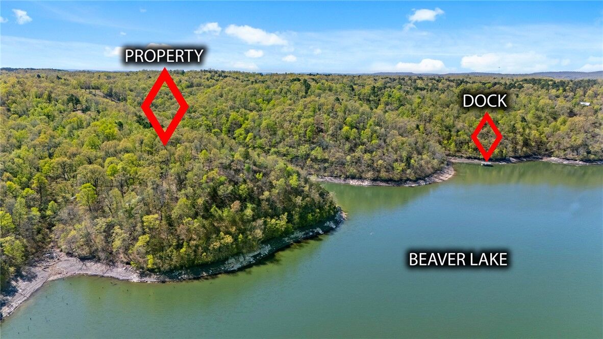 Property Photo: 23.26 Acres McKnight Lane AR 72756