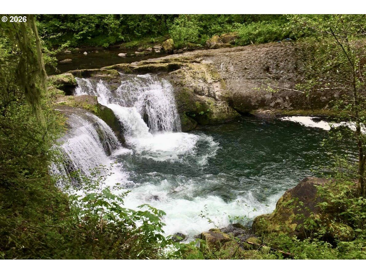 Property Photo: 100 L-1100 Rd WA 98675