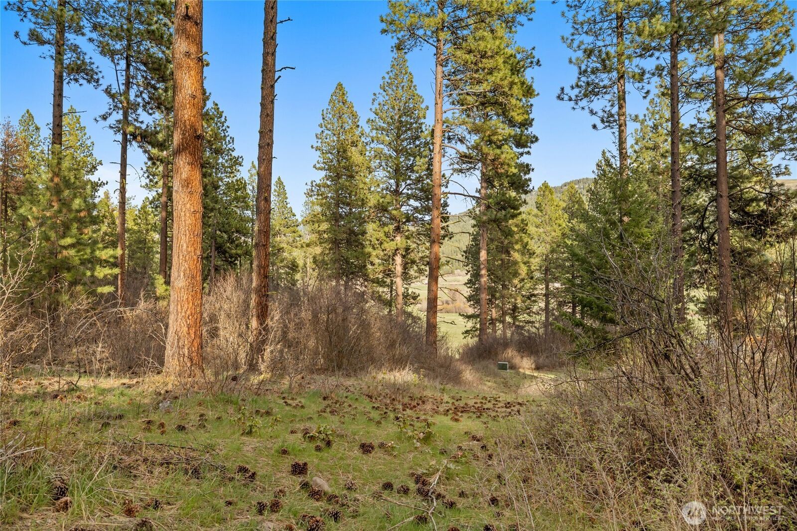 Property Photo: 250 Fir Tree Drive WA 98922