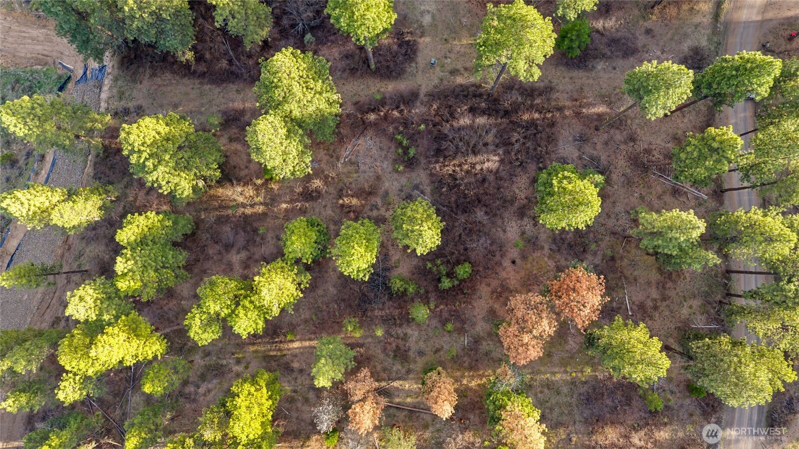 Property Photo: 250 Fir Tree Drive WA 98922