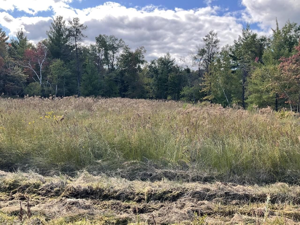 Property Photo:  28.07acres Driftwood Avenue  WI 54666 