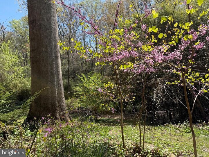 Property Photo:  1107 Dead Run Drive  VA 22101 