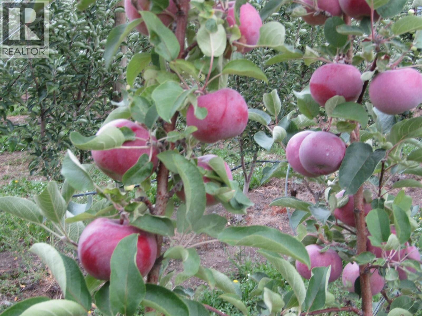 Property Photo:  2705 75th Avenue  BC V0H 1H2 