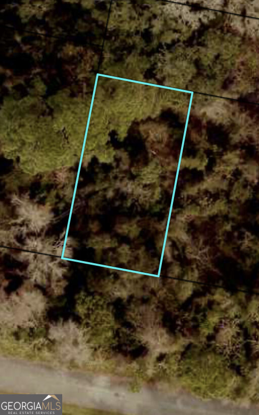 Property Photo:  204 W Meeting St.  GA 31558 