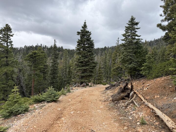 Property Photo:  5140 W Bear Cir  UT 84762 