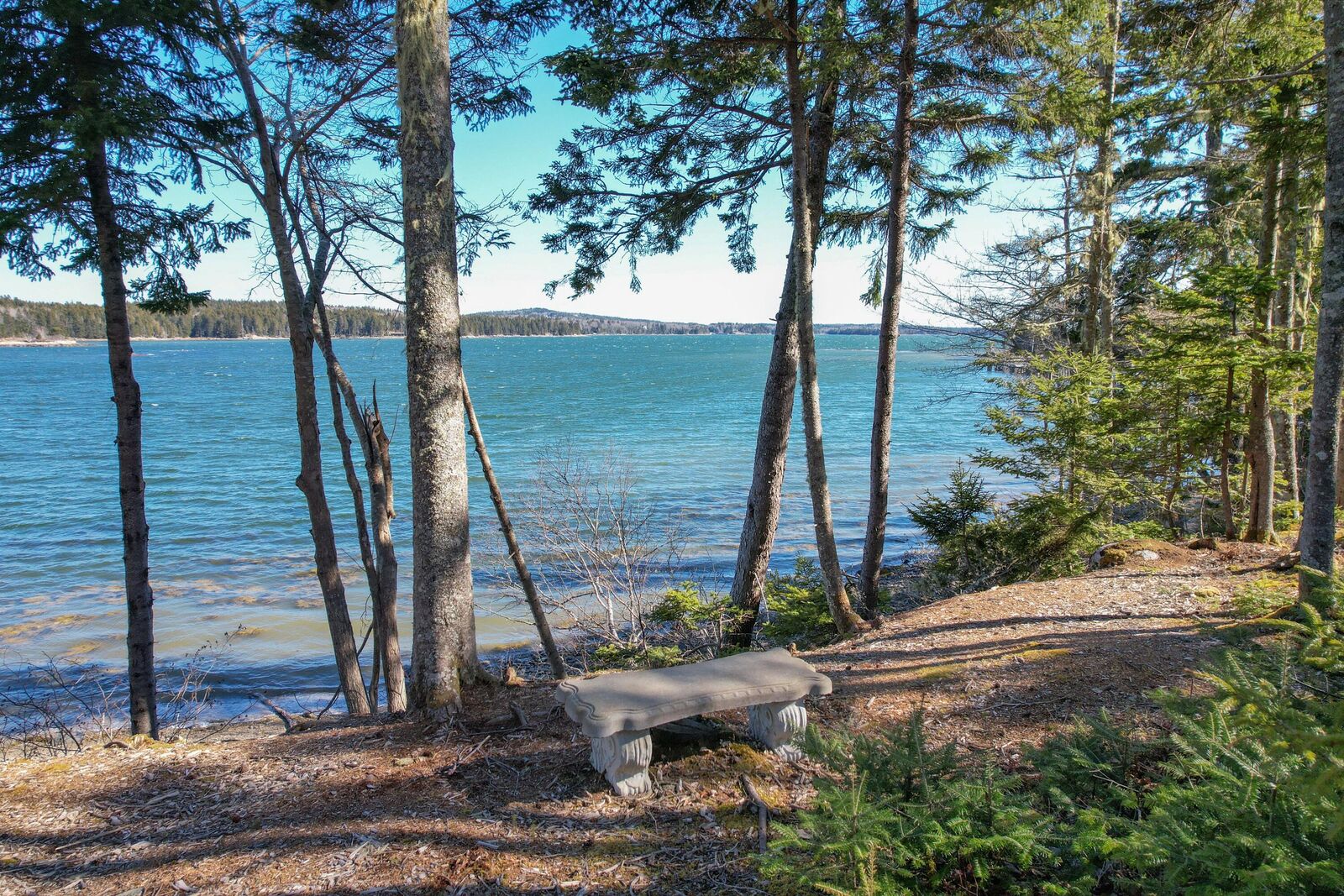 Property Photo:  131 Aspen Lane  ME 04680 