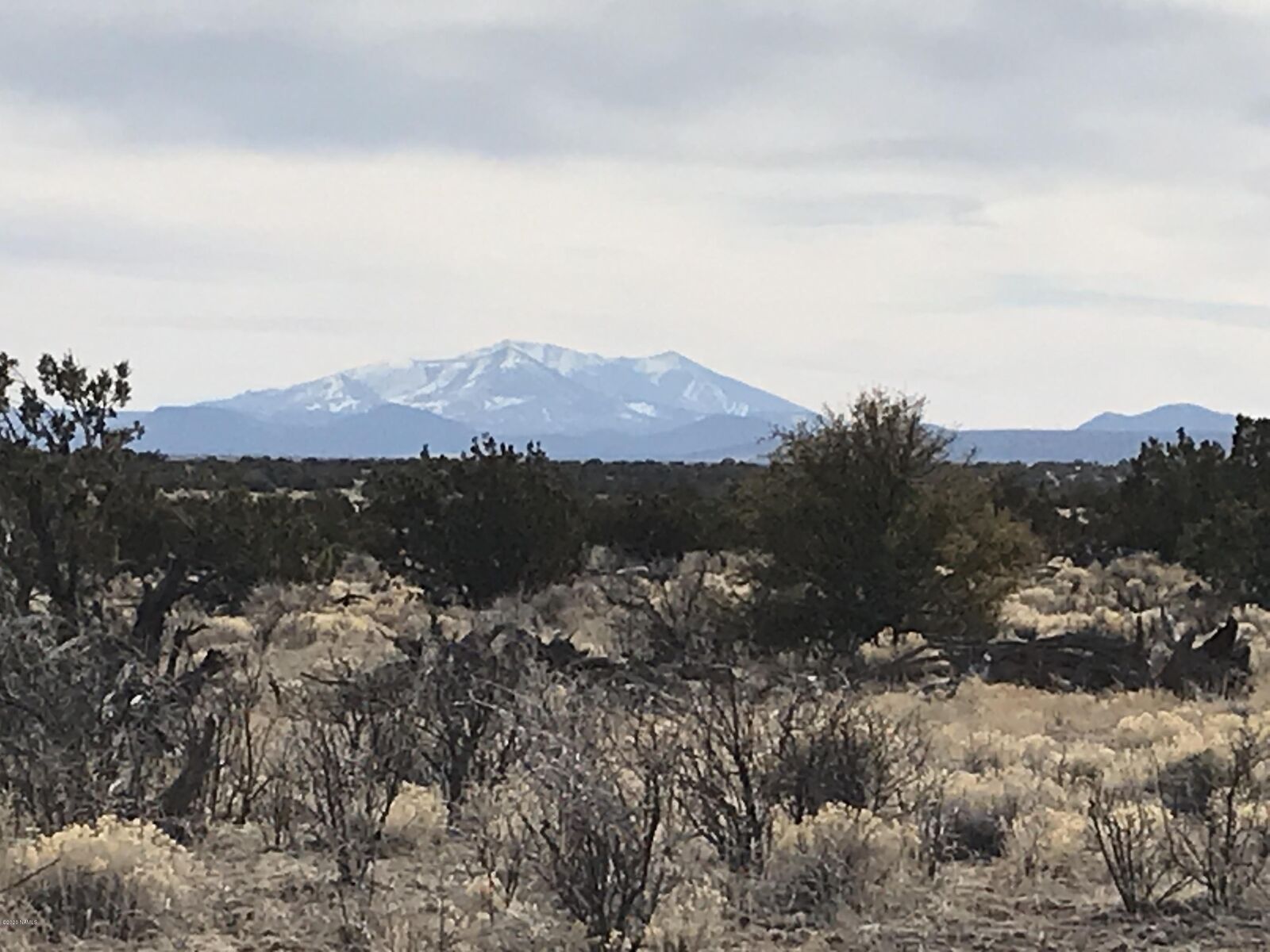 Property Photo:  5597 S Cattle Tank Road  AZ 86046 