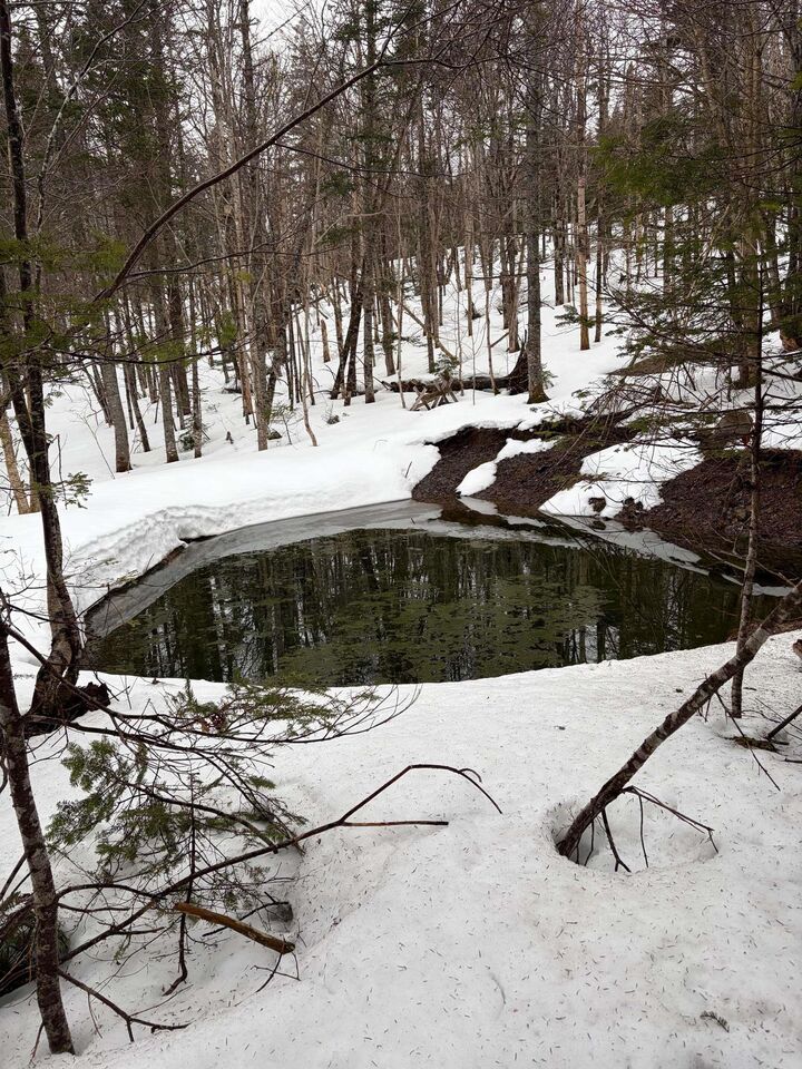 Property Photo:  594 Whycocomagh Mountain Rd  NS B0E 3M0 