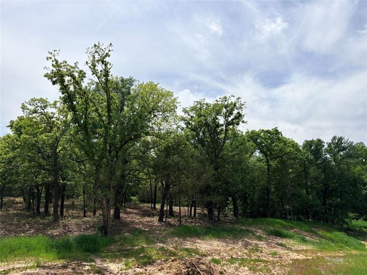 Property Photo:  135 Turtle Back Ridge  TX 76234 