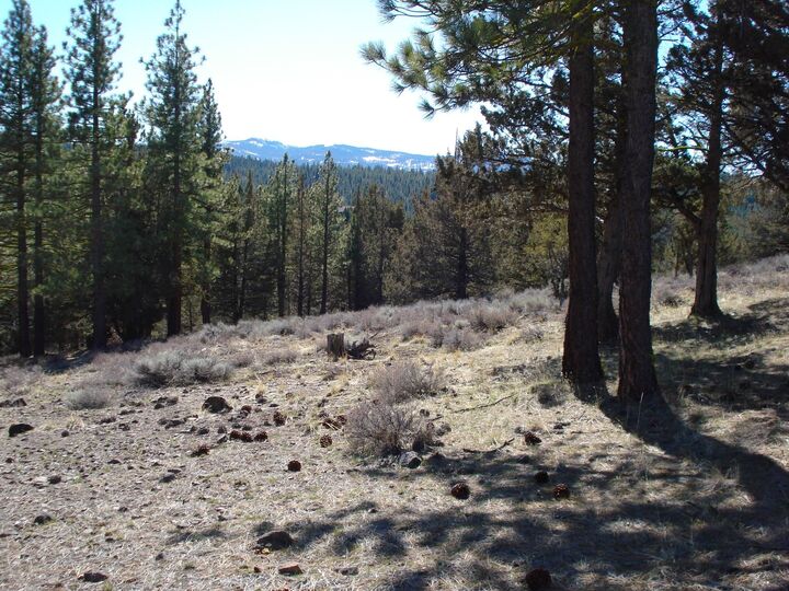 Property Photo: 463 Quail Run CA 96122