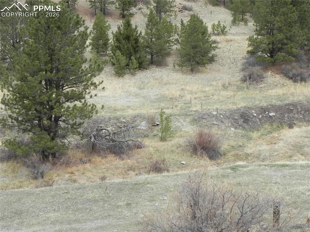 Property Photo:  521 Monarch Drive  CO 80813 