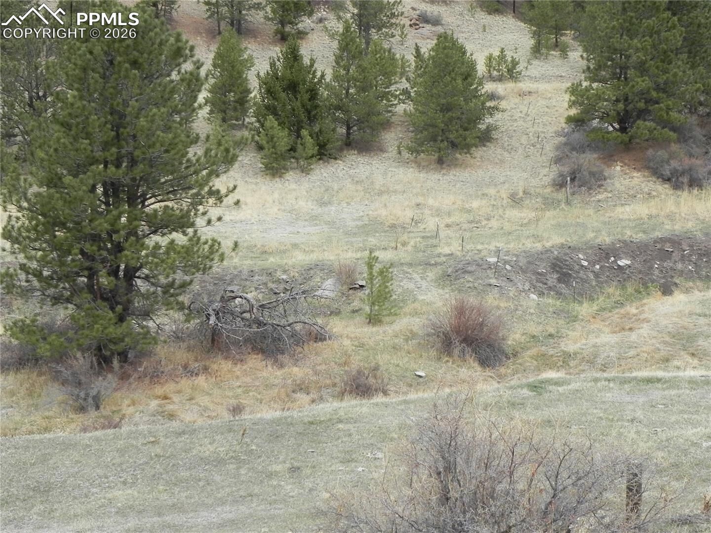 Property Photo:  521 Monarch Drive  CO 80813 