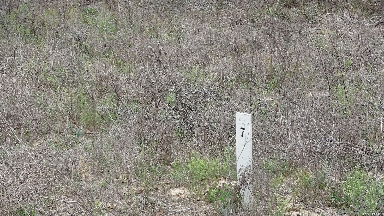 Property Photo: 22823 Cherry Rock TX 78112