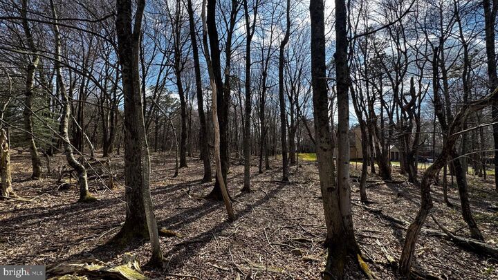 Property Photo:  0 Stony Mountain  PA 18210 