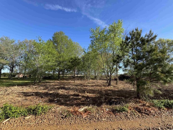 Property Photo:  Lot 58 Cr 236  AR 72324 