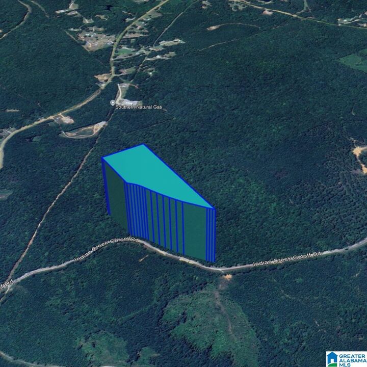 Property Photo:  001 Indian Creek Cutoff Road 00  AL 35456 