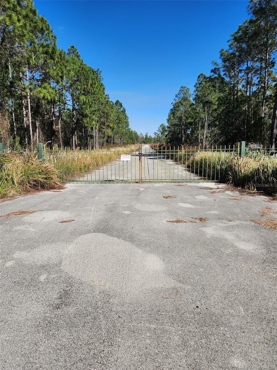Property Photo: Egret Drive FL 33843