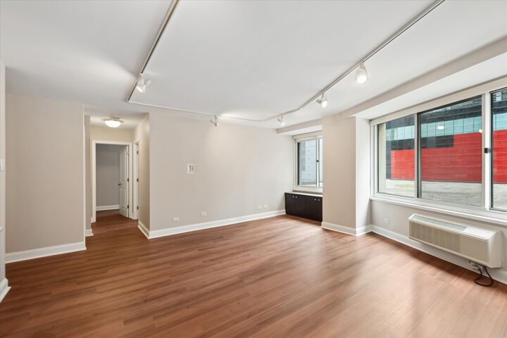 Property Photo: 211 E Ohio Street 816 IL 60611