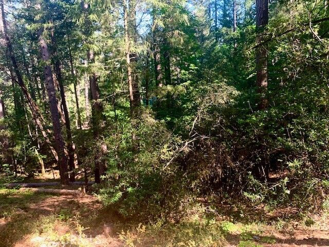 Property Photo:  17325 Fernbrook  CA 95461 