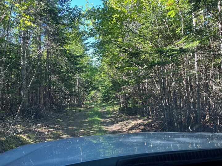 Photo de la propriété:  8208 Highway 209  NS B0M 1S0 