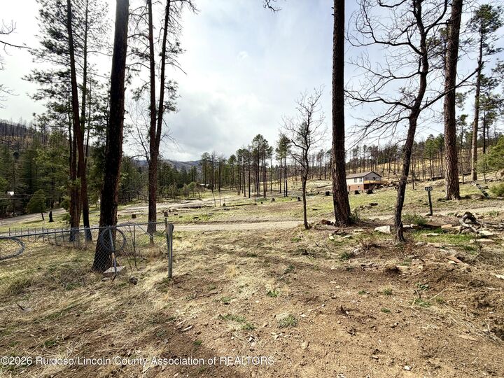Property Photo:  100 Sonora Loop  NM 88345 