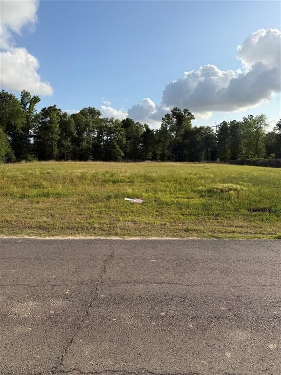 Property Photo:  2130 Rebel Loop  LA 70611 