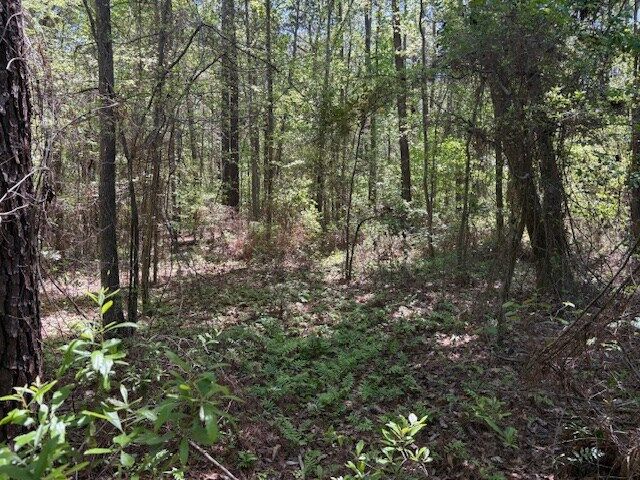 Property Photo:  0 Green Road  AL 36303 