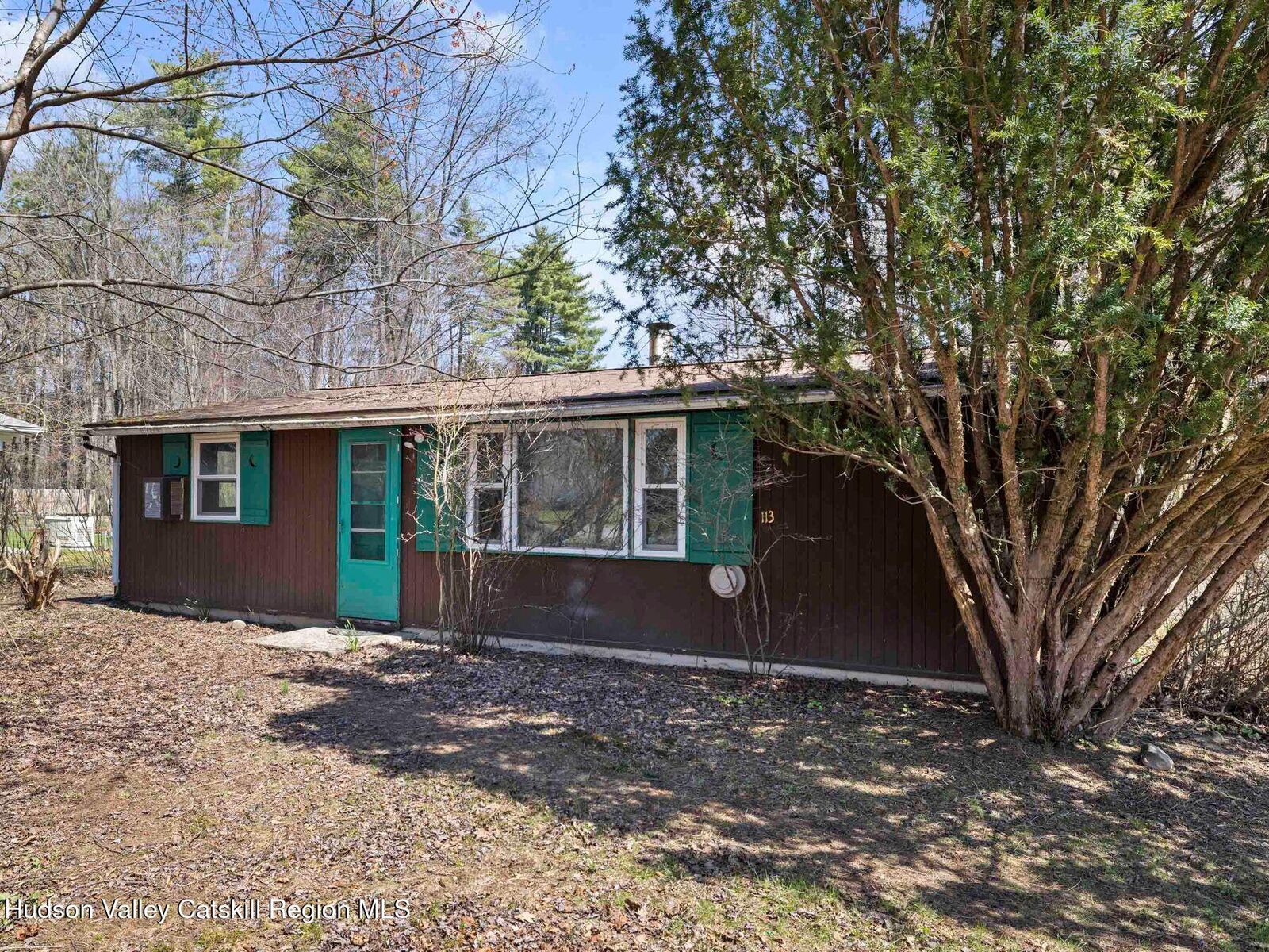 Property Photo:  113 Meadow  NY 12498 