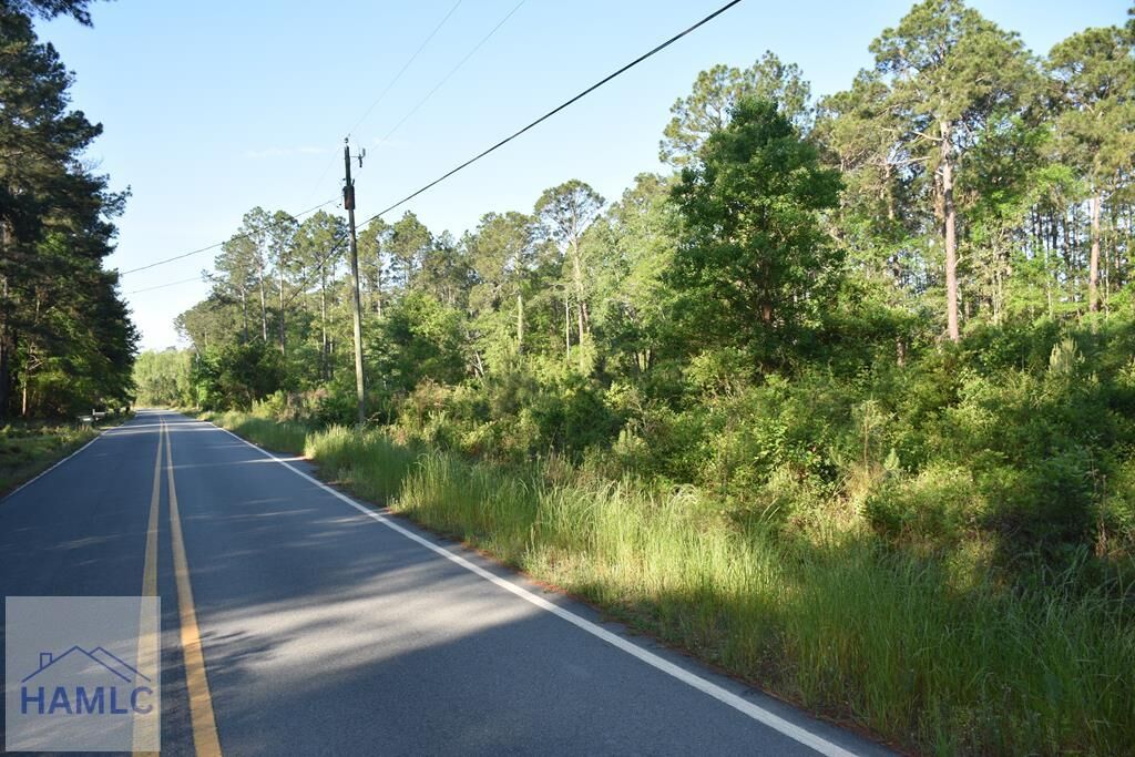 Property Photo:  5 Acres Levy A. Ray Road NE  GA 31316 