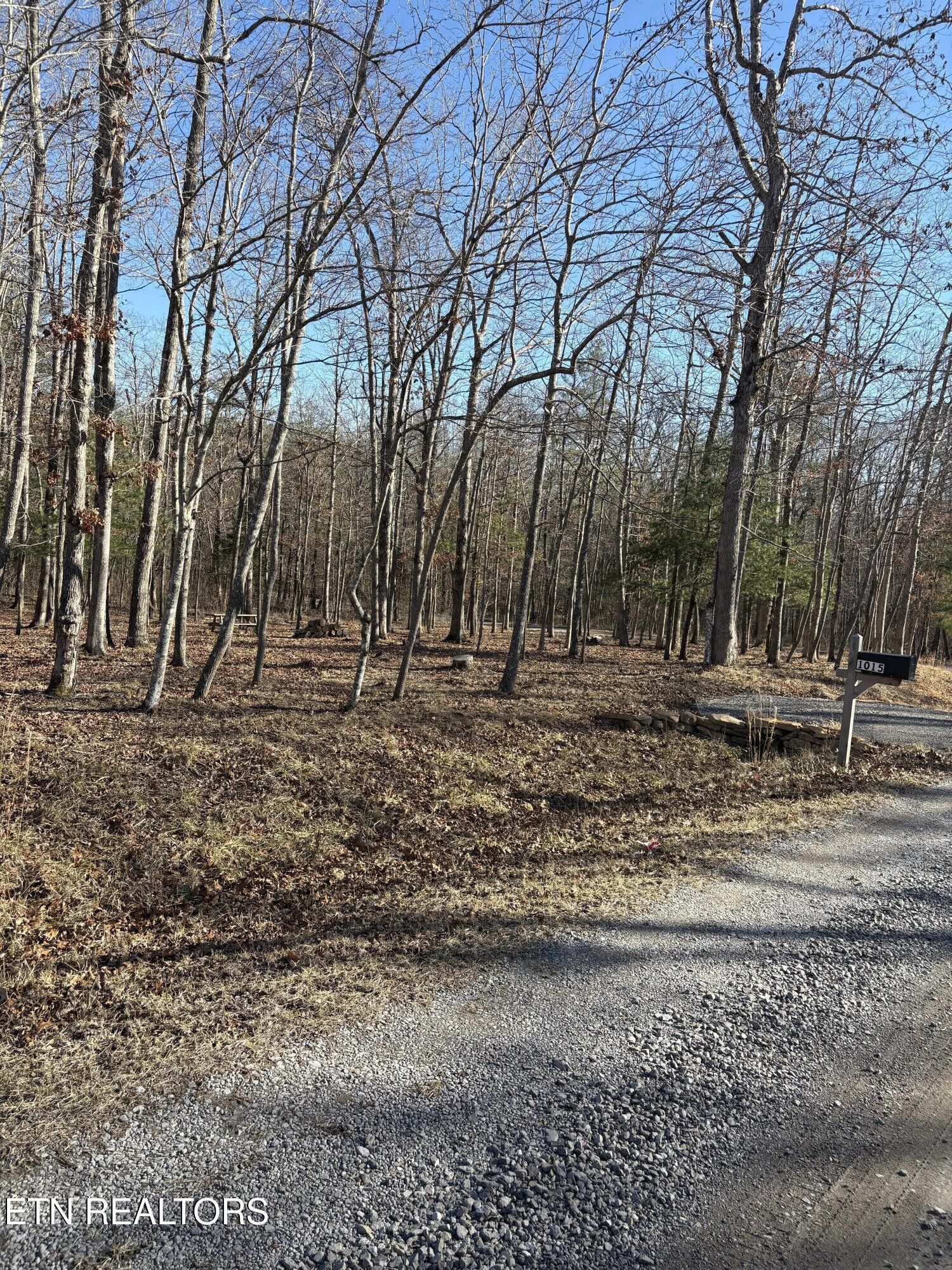 Property Photo:  1015 Gray Eagle Drive  TN 38572 