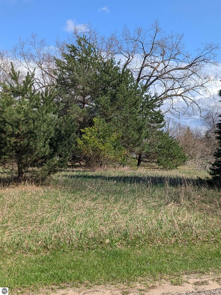 Property Photo:  1007 Kent Street  MI 48893 