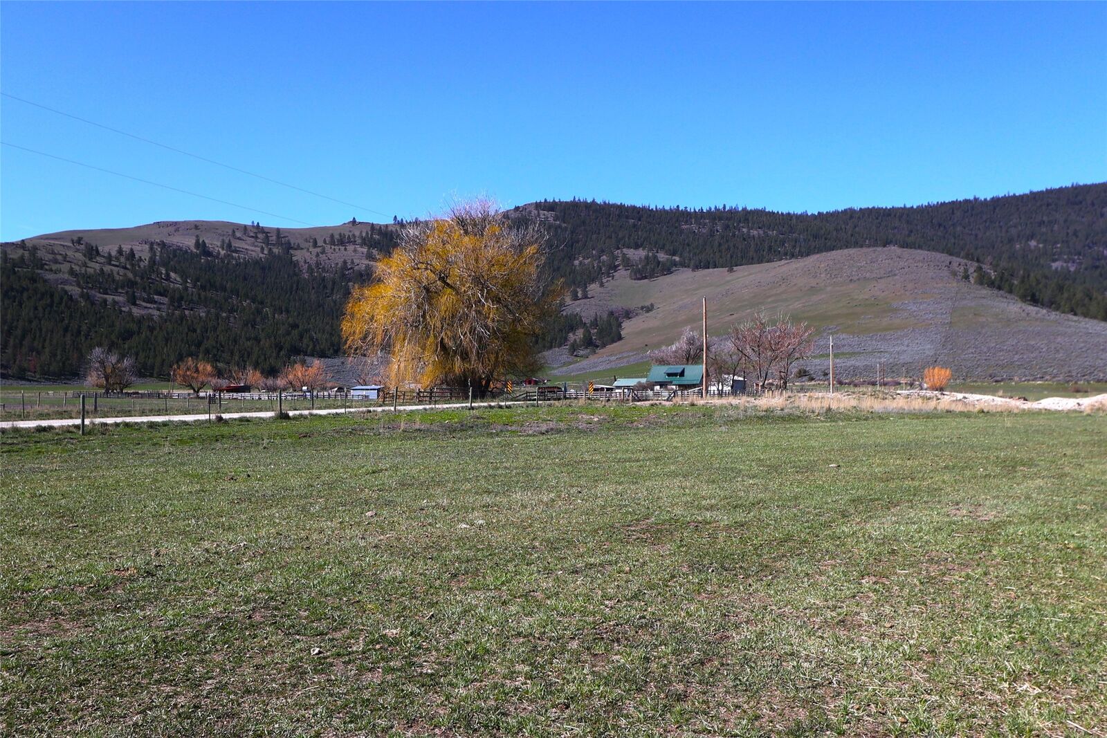 Property Photo:  18 Cluzen Road  MT 59848 