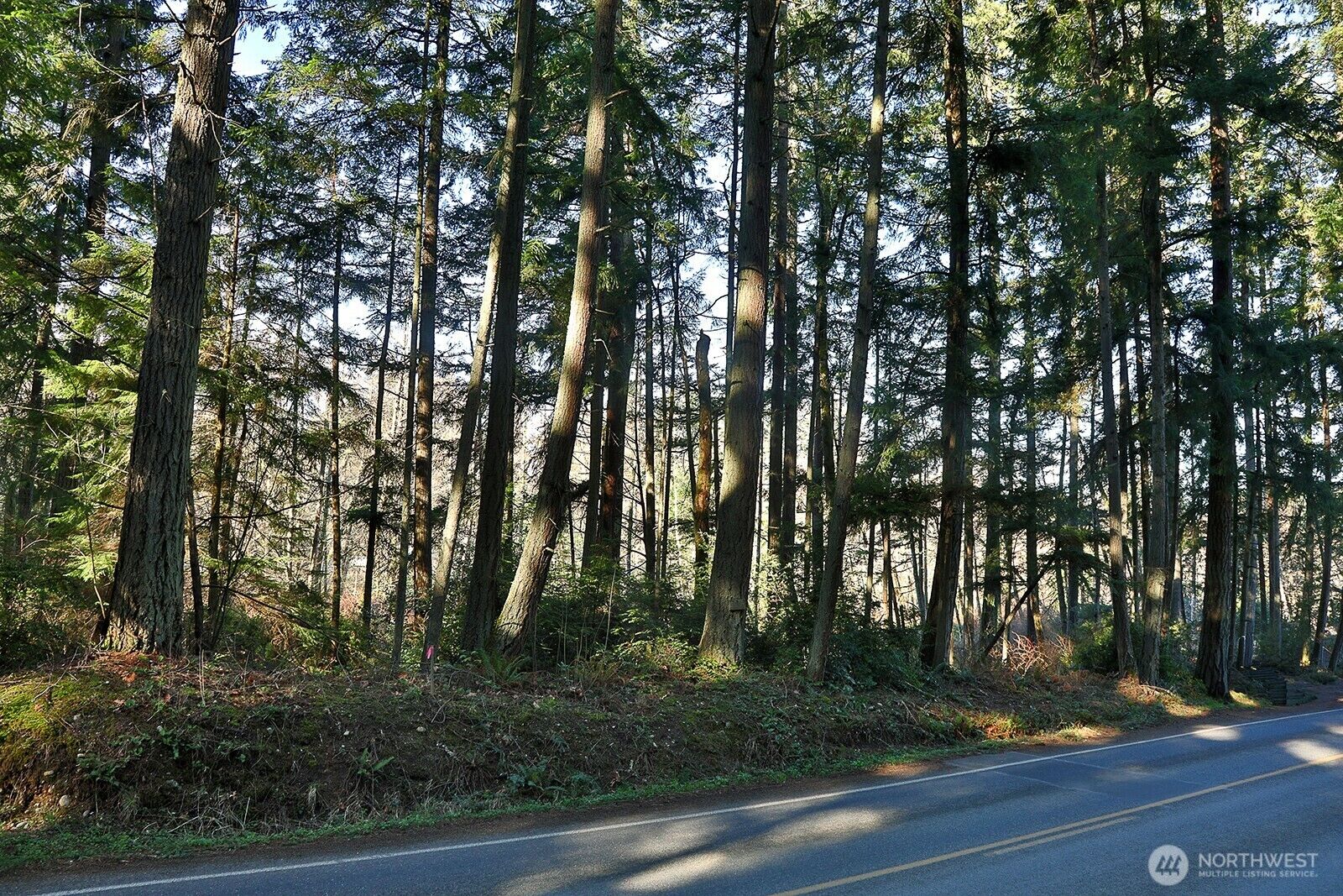 Property Photo: 6880 Holst Road WA 98236