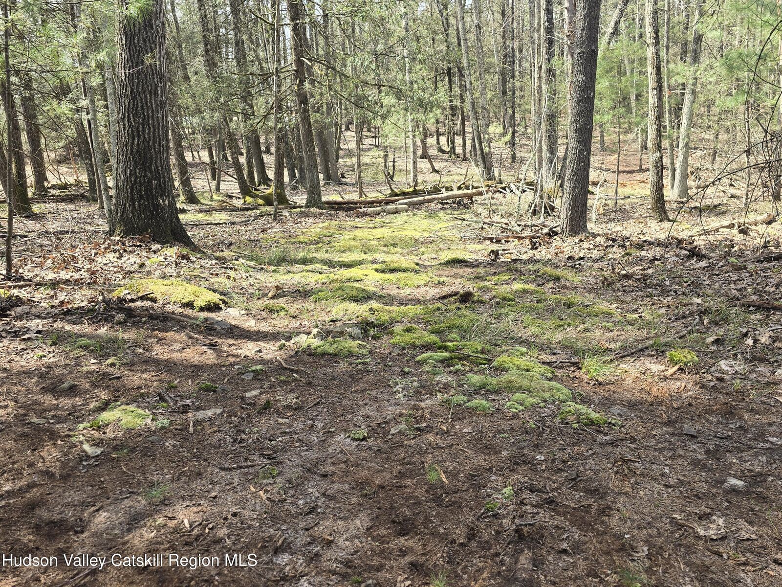 Property Photo:  Lot #5 Evergreen  NY 12477 