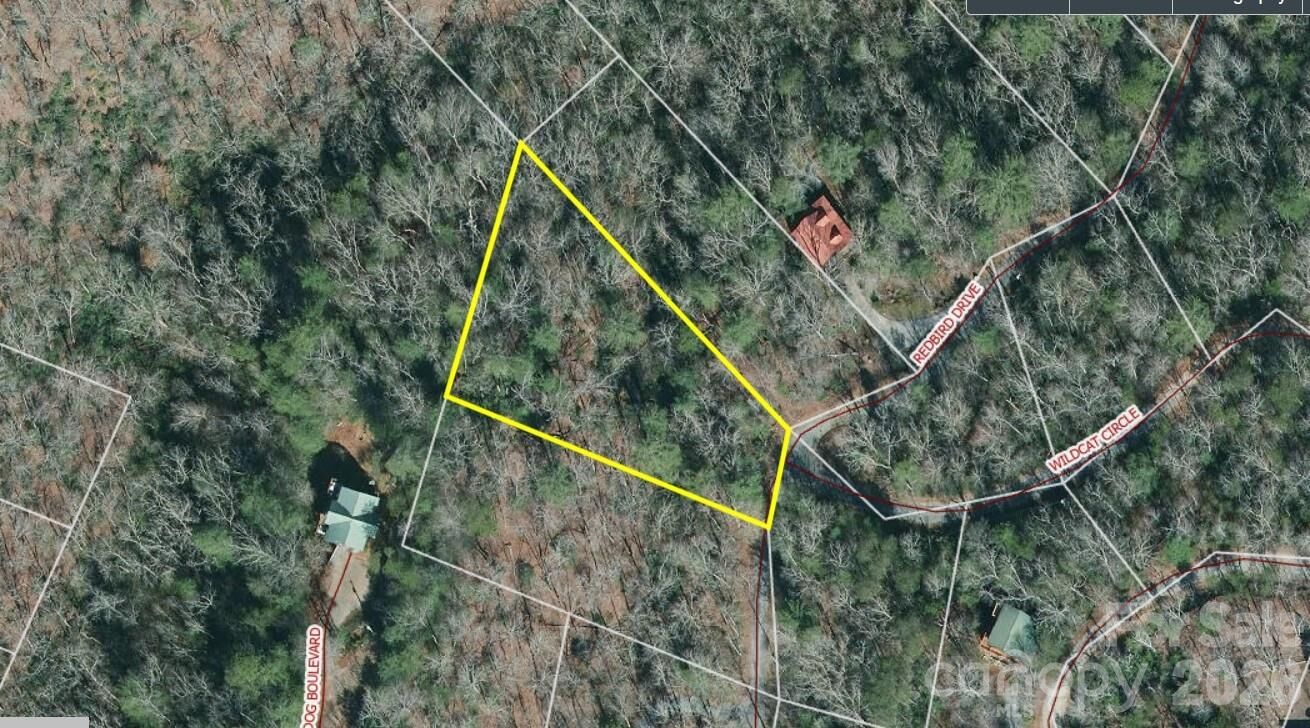 Property Photo:  178 Redbird Drive  NC 28746 