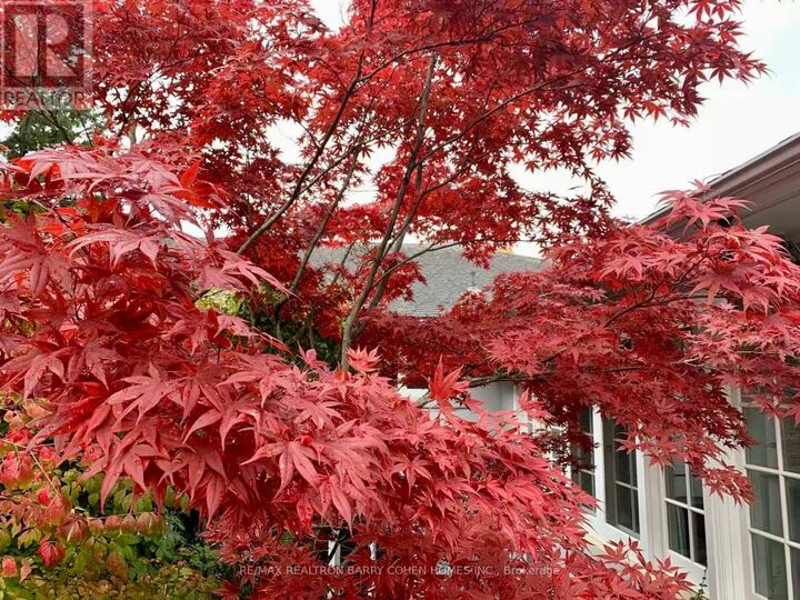 Property Photo:  80 Bayview Ridge  ON M2L 1E6 