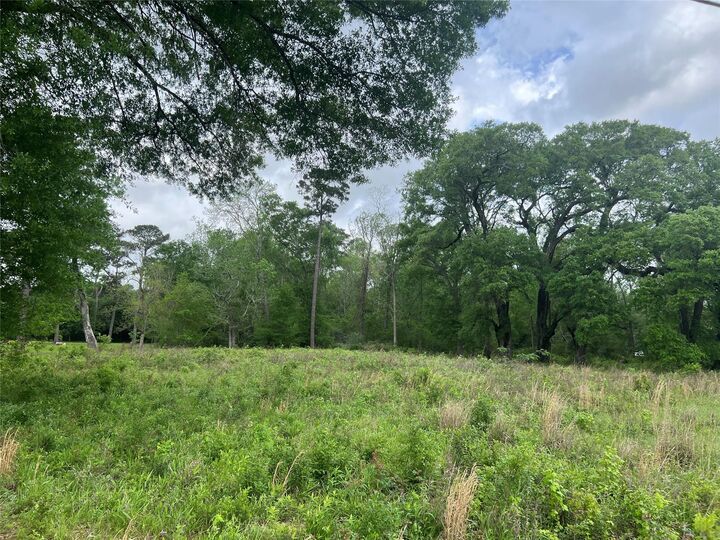 Property Photo:  000 N Mlk Drive  TX 77575 