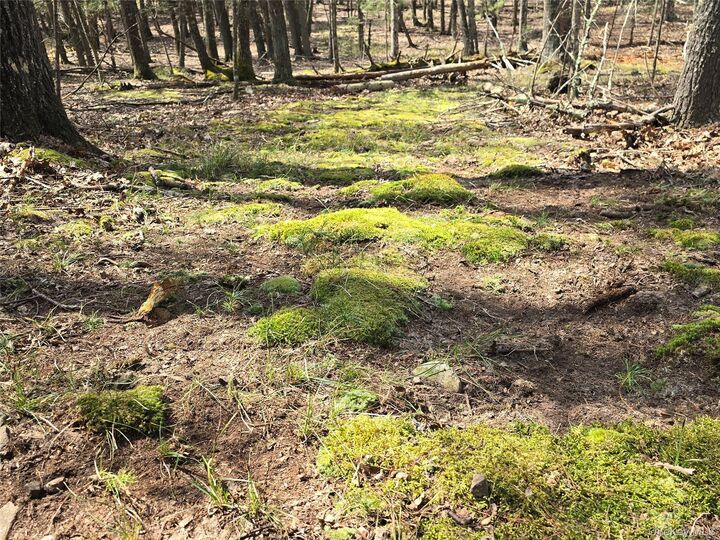 Property Photo:  Lot 5 Evergreen Drive  NY 12477 
