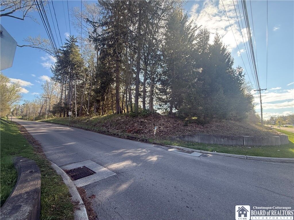 Property Photo:  126 E Fairmount Avenue  NY 14750 