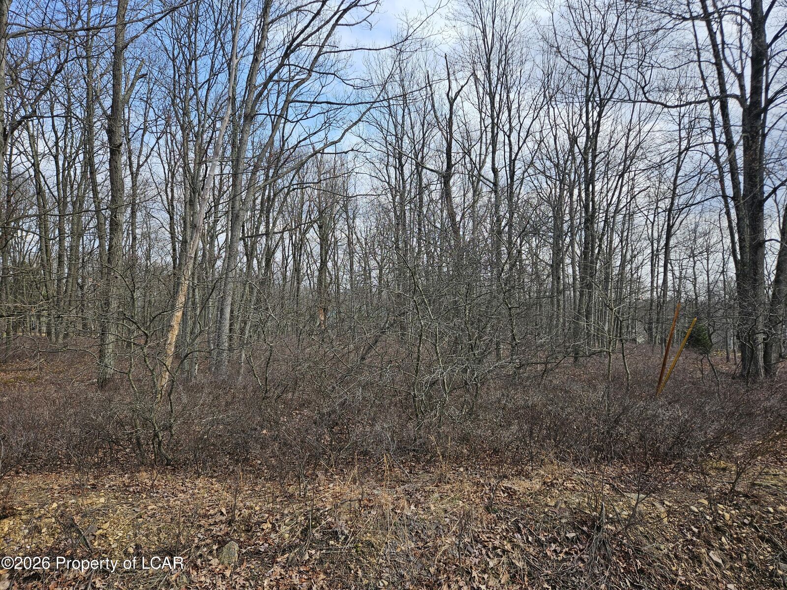 Property Photo: Rv Lot143 Cornsilk Avenue PA 18202