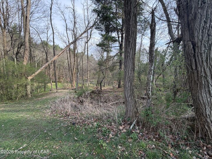 Property Photo:  139 Harris Hill Road  PA 18708 