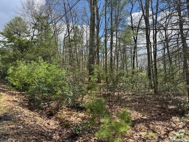 Property Photo:  Lot 73.6 Pine Road  NY 12737 