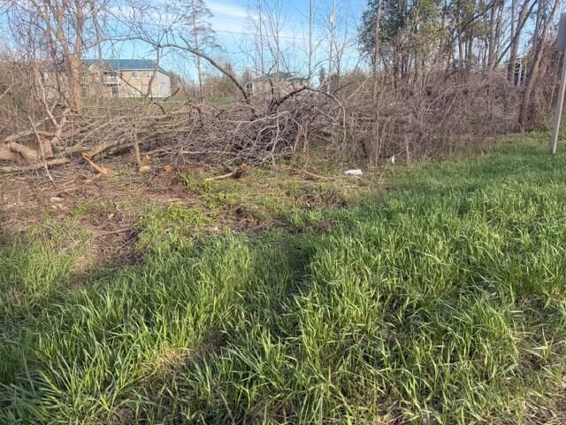 Property Photo:  0 S Mason Drive  MI 49327 