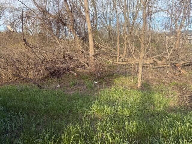 Property Photo: 0 S Mason Drive MI 49327